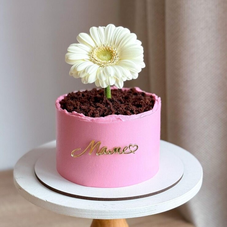 Minimalist Mother’s Day cake with white gerbera flower and pastel finish